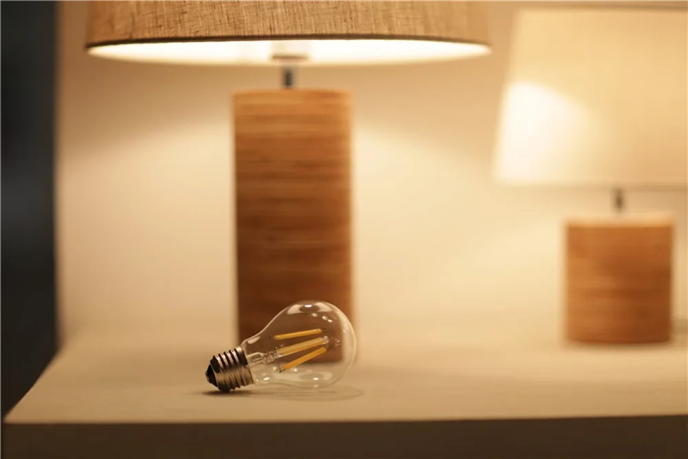 G45LED000 (5)