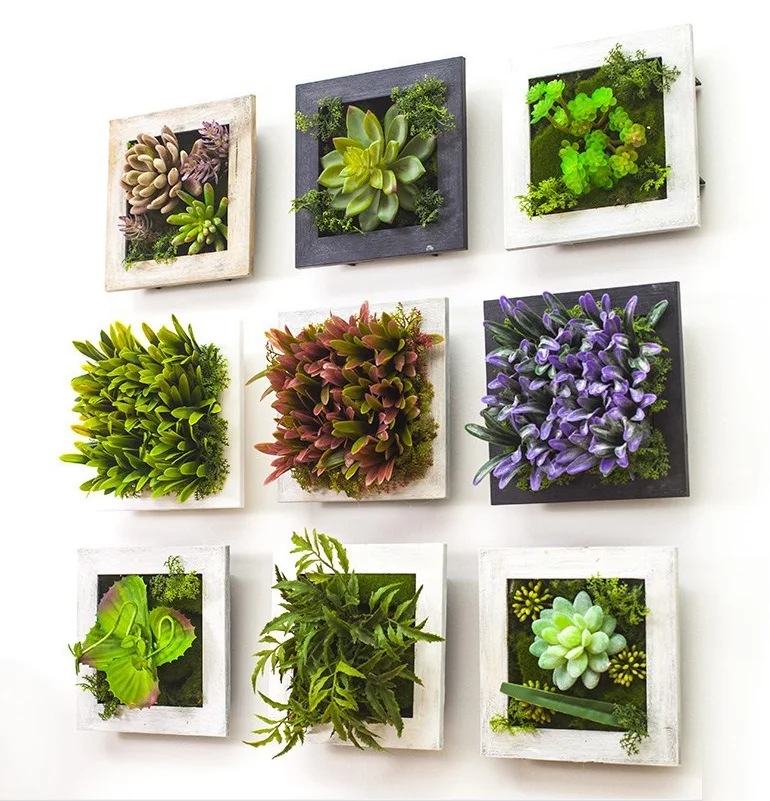 popular plant frames buy cheap plant frames lots from china plant frames suppliers on aliexpress com popular plant frames buy cheap plant frames lots from china plant frames suppliers on aliexpress com