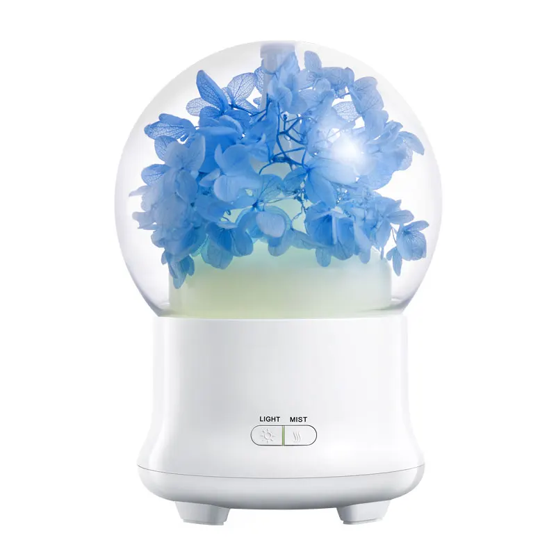 air humidifier (8)