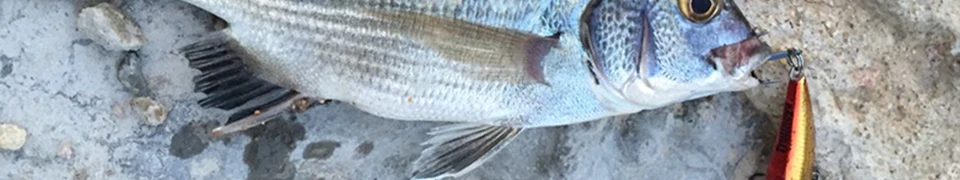 TSURINOYA тройной крючки 5 шт./упак. 14 # высокоуглеродистой сталь карп рыбалка колючей крючок для отсадки приманки для рыбалки Pesca