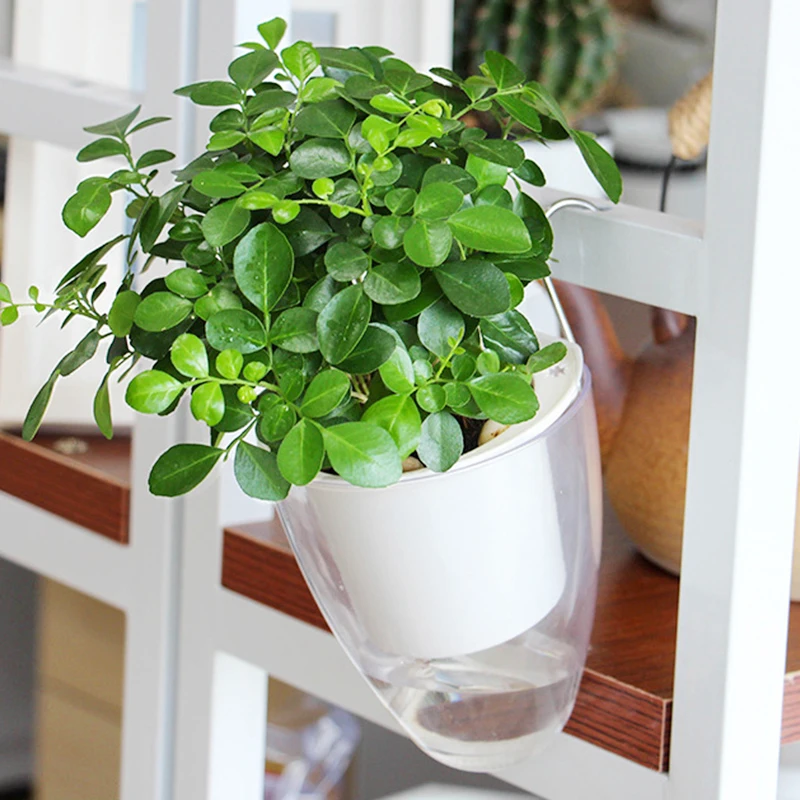 

Fresh Style Double-deck Transparent Plastic Hanging Type Flower Pot Vase Automatic Water-Absorbing Landscape Flowerpot With Hook