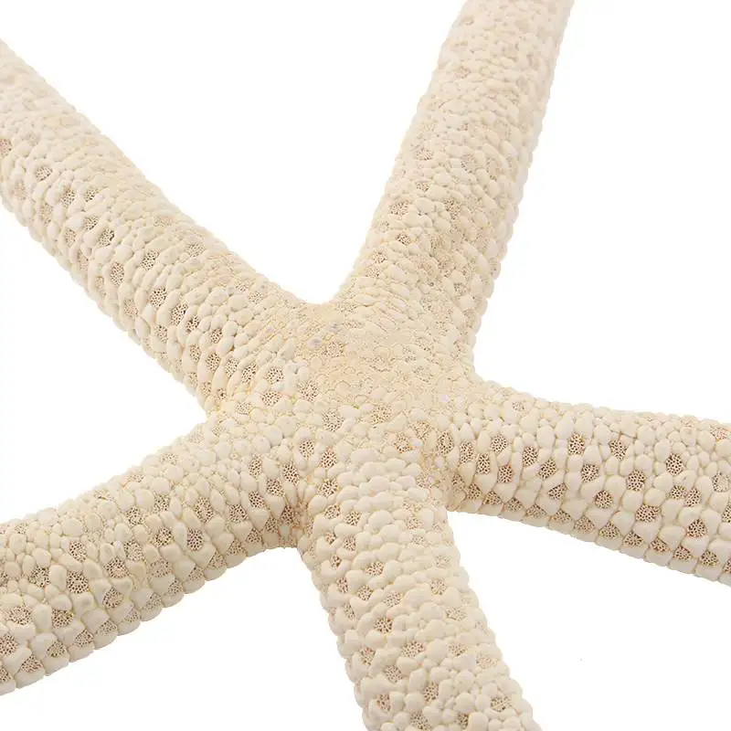 Mrosaa 5-24 см натуральные морские раковины, пять пальцев, белая звезда, рыба, настоящая морская, сделай сам, пляжный, береговой, Свадебный, diaplay, ремесло, украшение