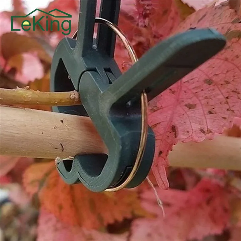 20Pcsset Plastic Garden Plant Flower Vegetable Bush Clips 45Mm 30Mm Ties Supplies huismerk kopen in de aanbieding 20Pcsset Plastic Garden Plant Flower Vegetable Bush Clips 45Mm 30Mm Ties Supplies huismerk kopen in de aanbieding