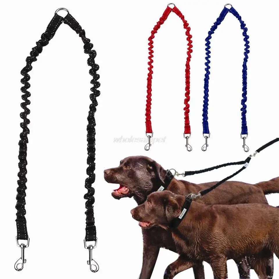 light tan french bulldog