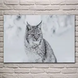 Дикий lynx природа животное кот лицо сидя меха Хищник гостиная украшения дома стены искусства декора деревянная рамка Плакат SL50