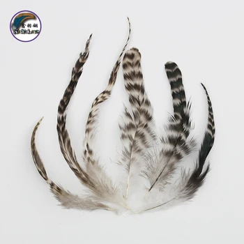 

6-8 Inch(15-20 cm)Wholesale Directly Handcraft Best Quality Strung Chicken Feather