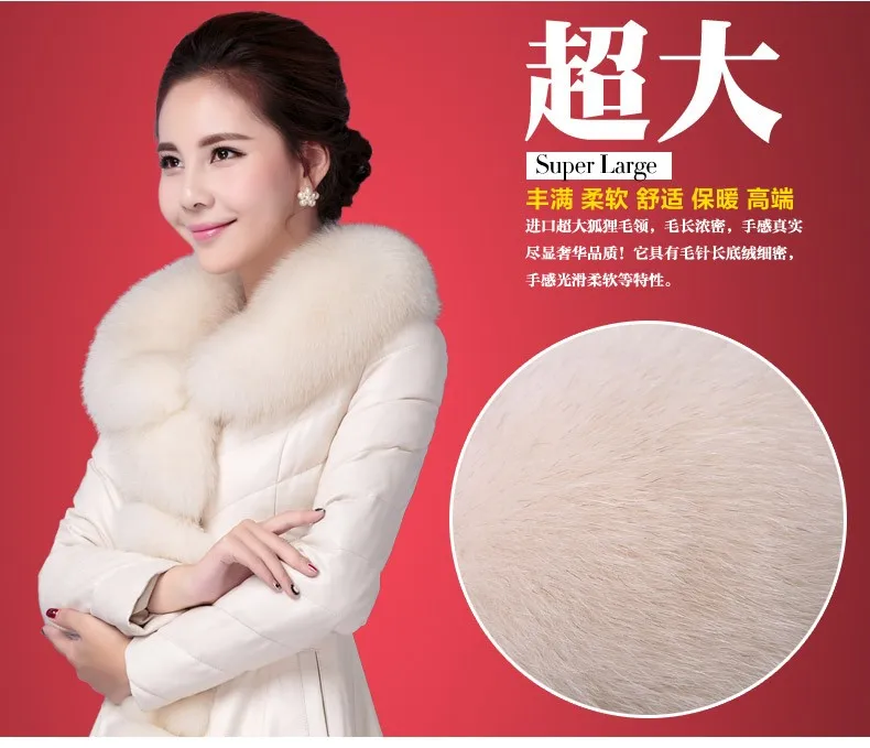 xijie5
