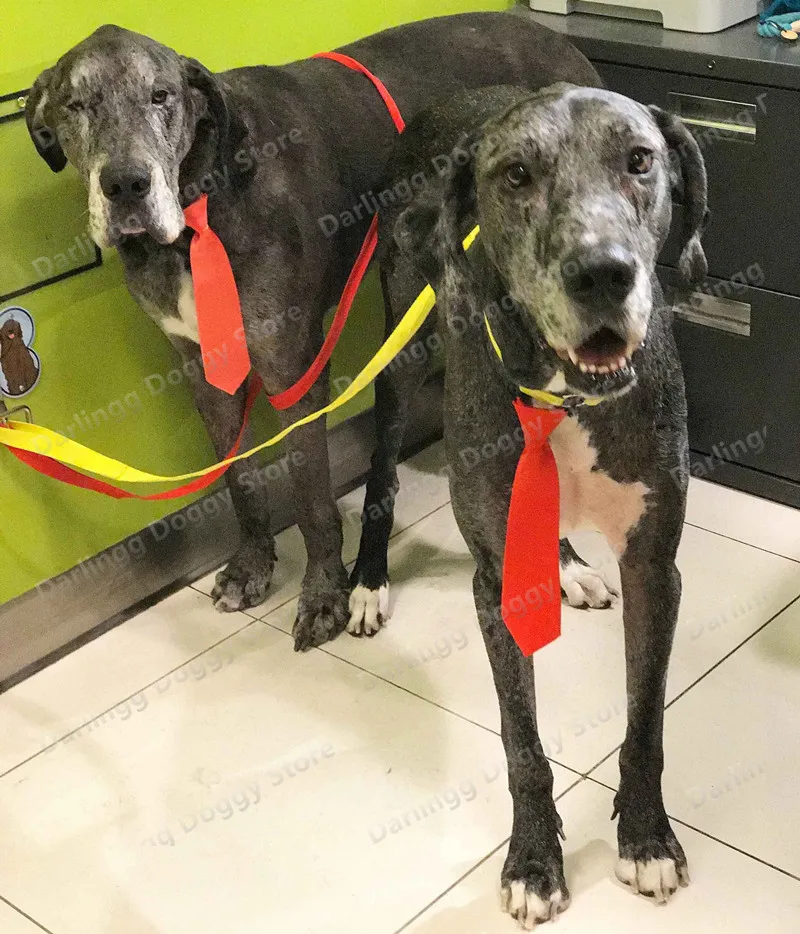 80X Pet Large Dog Neck Ties Dog Collar Dog Grooming Accessories for Medium&Large Dogs