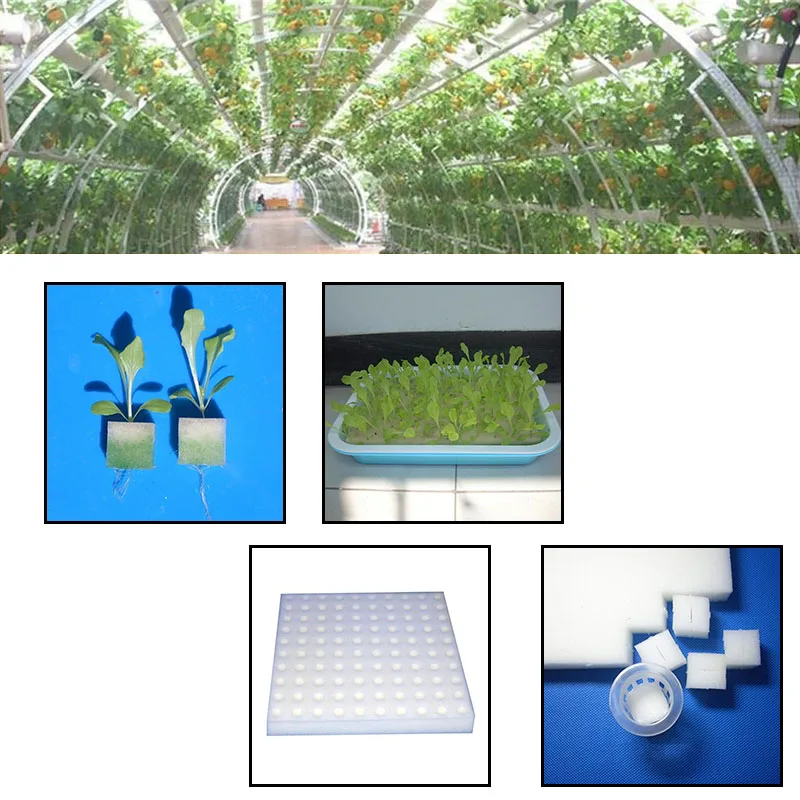 НОВЫЕ 96 шт. трансплантированные губки без воды гидропоники системы выращивания овощей садовые инструменты Soilless посадки саженцев