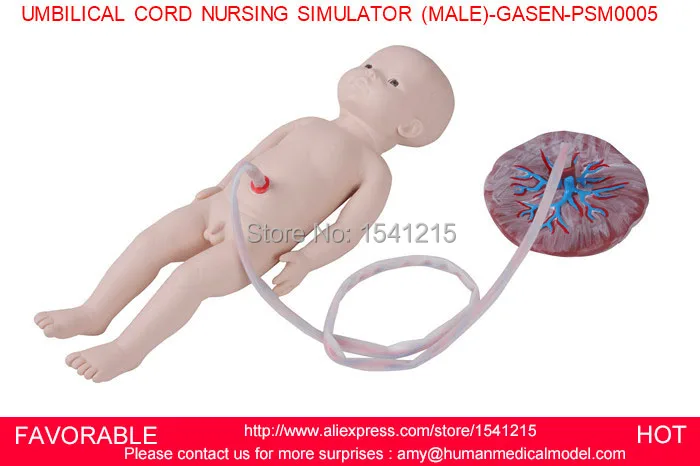 

INFANT NURSING MODEL,NEONATAL UMBILICAL CORD, PLACENTAL CARE MODEL, NEONATAL NURSING MODEL,UMBILICAL CORD MODEL -GASEN-PSM0005
