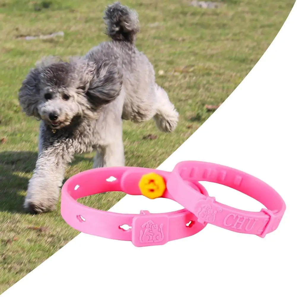 

In Addition To Fleas In Addition To Scorpion Mosquito Repellent Pet Collar Cat Collar