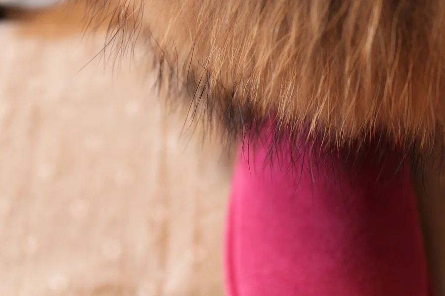 Г., зимние сапоги из натуральной кожи с натуральным мехом енота Muleshoe, зимние женские сапоги до колена