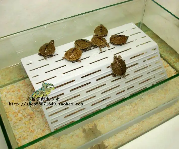 

28 CM Transparent acrylic terrace Reptiles Terrarium turtle floating Backing plate - shaped island climb Aquarium decor