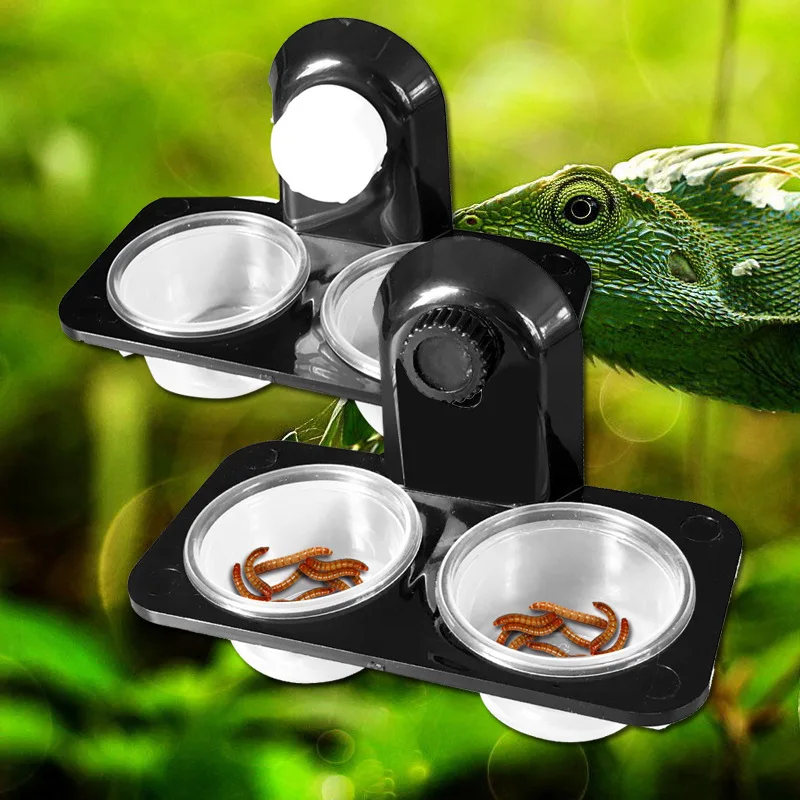 

Reptile Feeder Single Double Feeding Bowl Food Water Insects Spider Breeding Tank Dispenser Feeding Dish Pot Screw Suction Cup