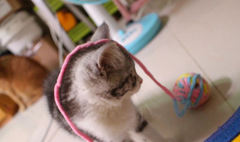 Игрушка для котов мяч Кот любимый шерстяной шар
