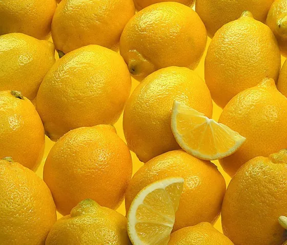 50 قطع بونساي الليمون شجرة بونساي عالية بقاء أسعار الفاكهة شجرة bonsais Plantas للمنازل Gatden الديكور شحن مجاني 50 قطع بونساي الليمون شجرة بونساي عالية بقاء أسعار الفاكهة شجرة bonsais Plantas للمنازل Gatden الديكور شحن مجاني