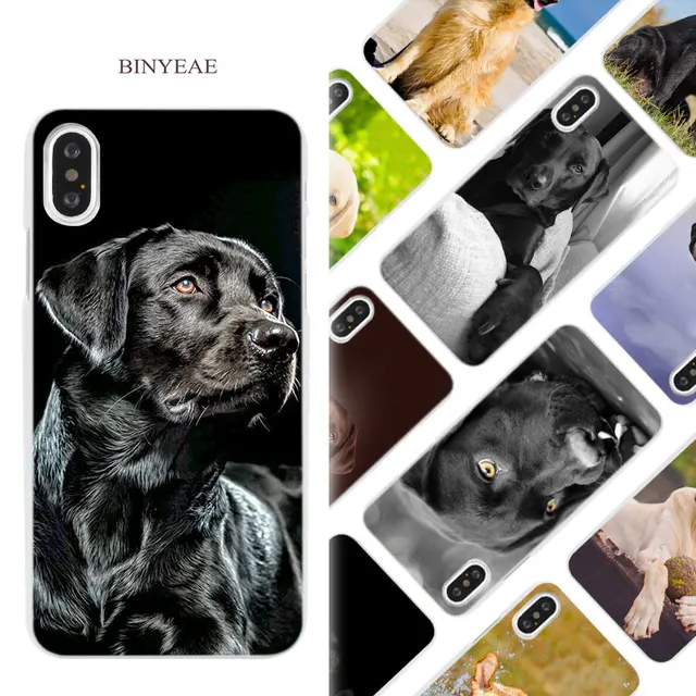 labrador iphone 6 case labrador iphone 6 case