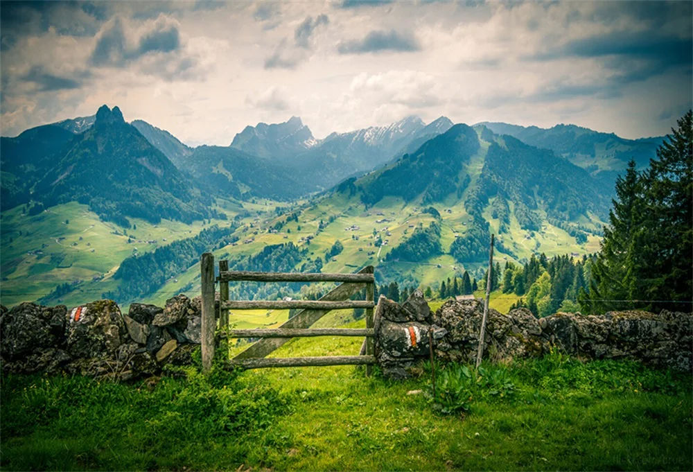 

Laeacco Mountains Stones Fence Grass Sky Scenic Photography Backgrounds Vinyl Customized Photographic Backdrops For Photo Studio