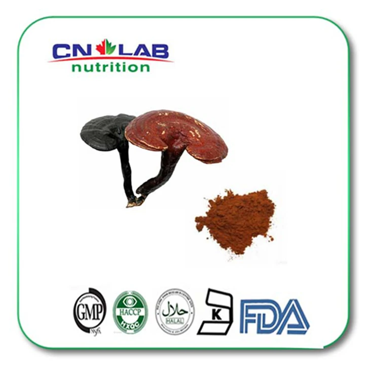 ganoderma lucidum/reishi mushroom extract ganoderan30 powder anti