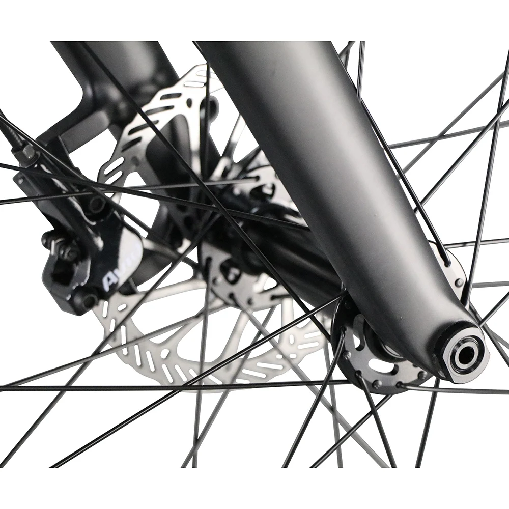 Fat Bastard Carbon Bike 26er x 4 8 горный жир шины велосипед снег bicicleta 16 18 20 дюйм(ов) ов) fatbike|bicicleta