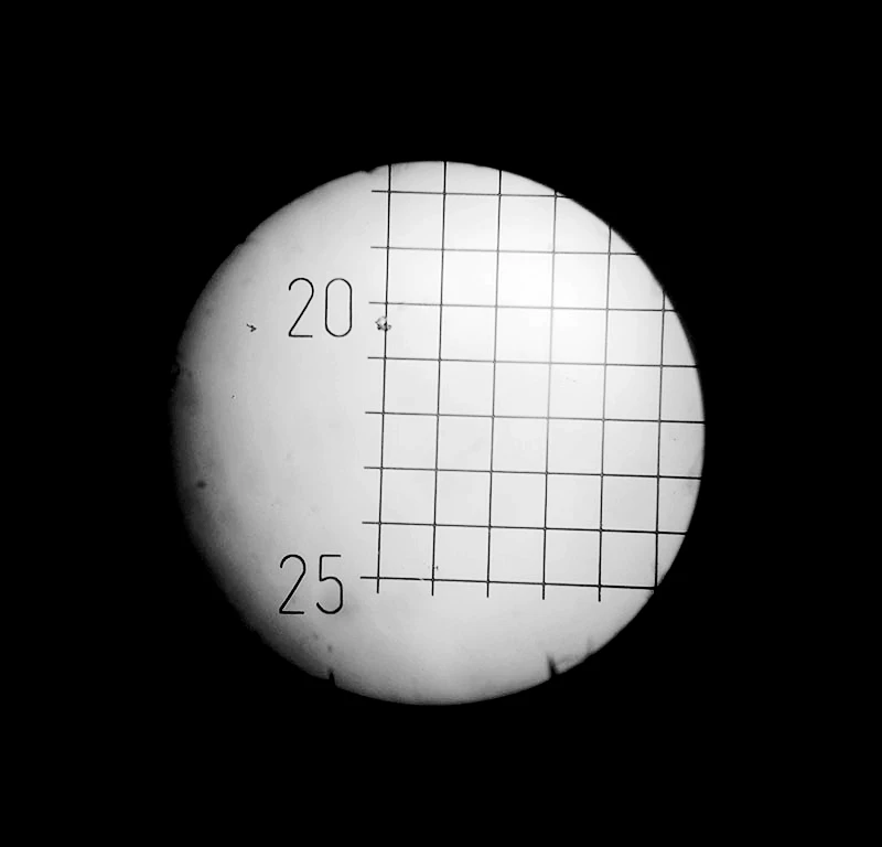 25*25 DIV 0,2 мм микроскоп окуляр Калибровочная линейка микрометр для сцены микрометр микроскопа прецизионный инструмент