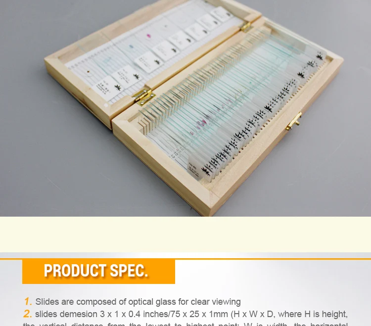cells Microscope slides (6)