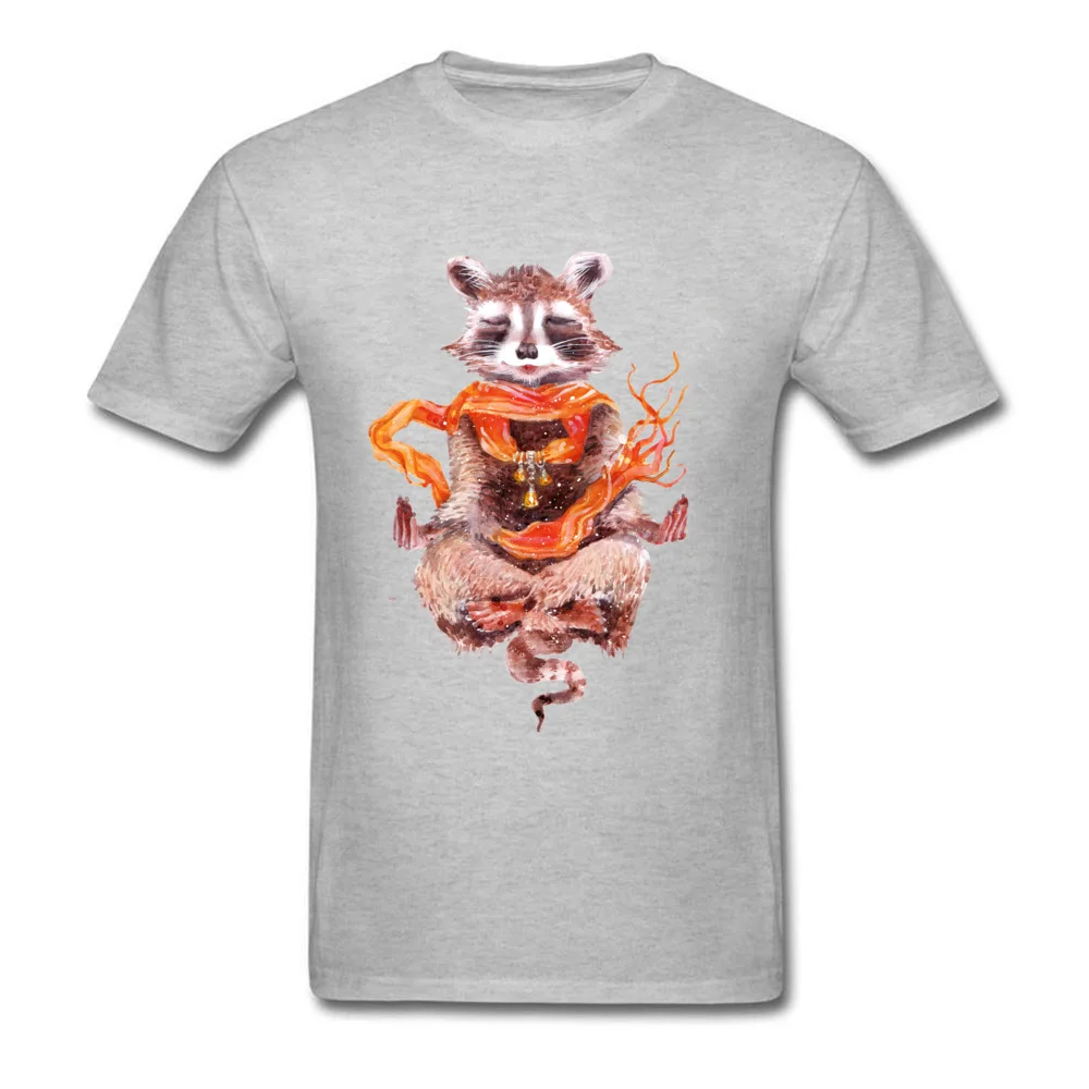 Raccoon meditates (female)_grey