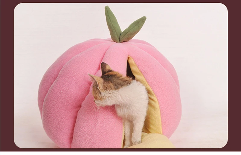 _---_14