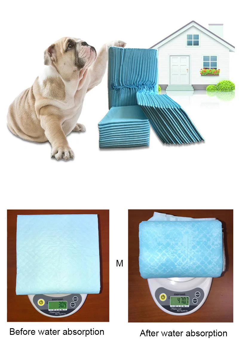 dog diapers (7)