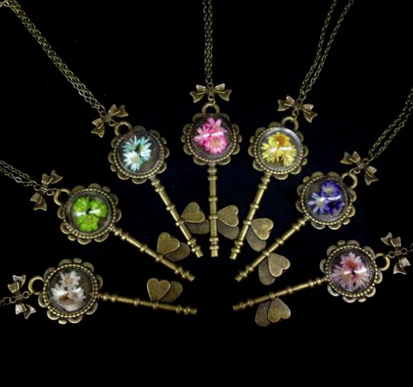 HTB1bIFrQFXXXXc2XVXXq6xXFXXXn