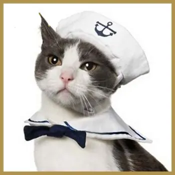 

Funny Pet cat Kitten hat Cape dog Sailor costume clothes suit with hat and Bow Tie for dog and cat Pet clothes accesory