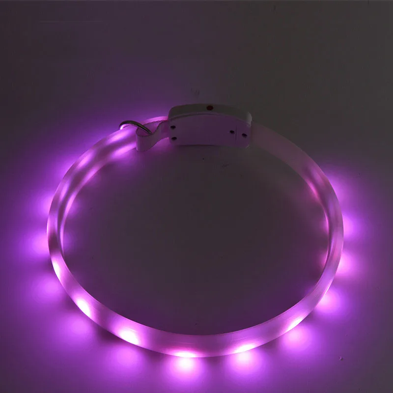 Led Collar Dog (9)