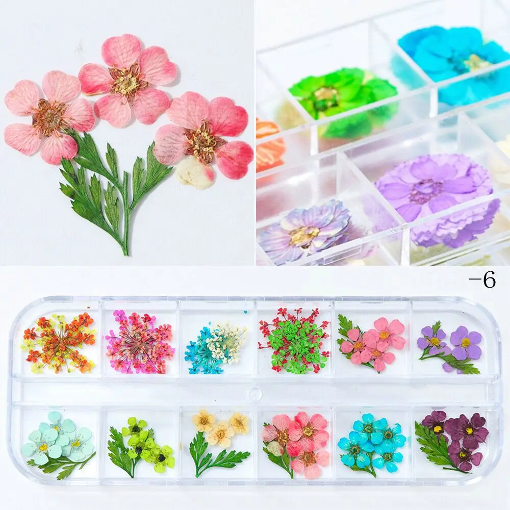 Сушеные цветы из смолы для творчества 12 цветов украшения ногтей Цветочный декор