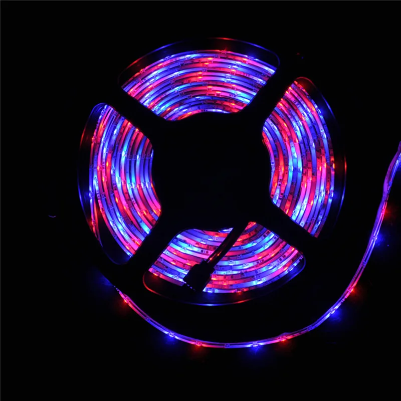led light