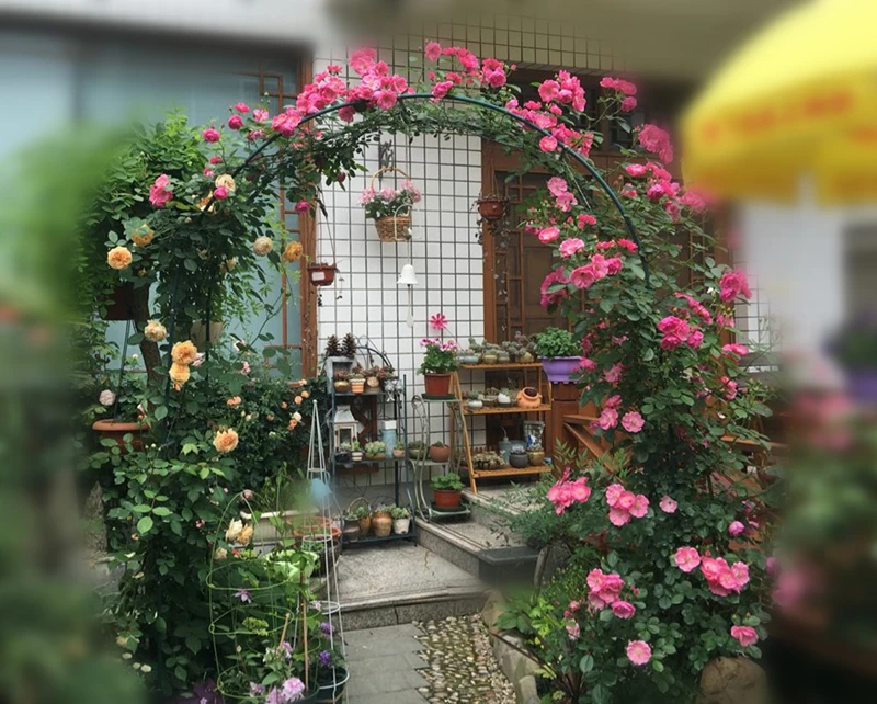 TB29oXspB0kpuFjSsppXXcGTXXa_!!687086779