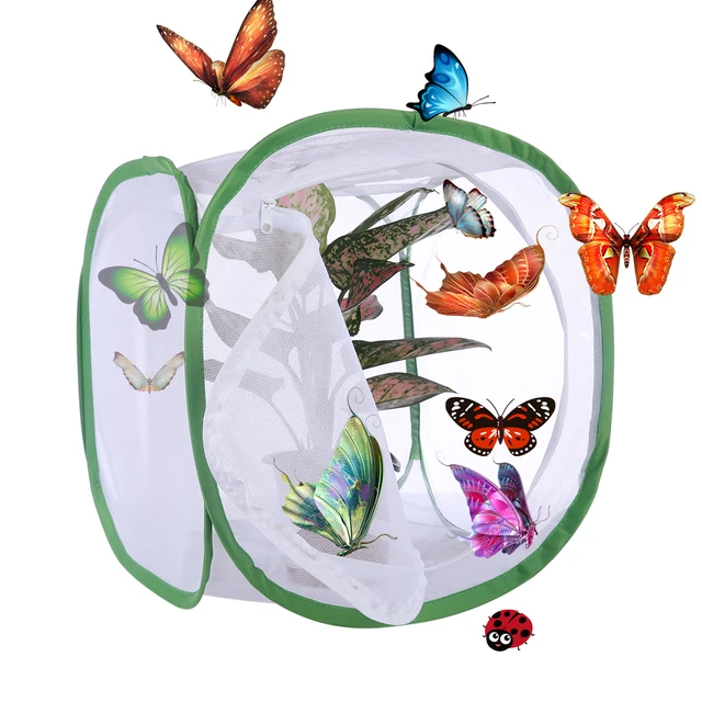 Buy VICTMAX S/M/L Size Butterfly and Insect Habitat