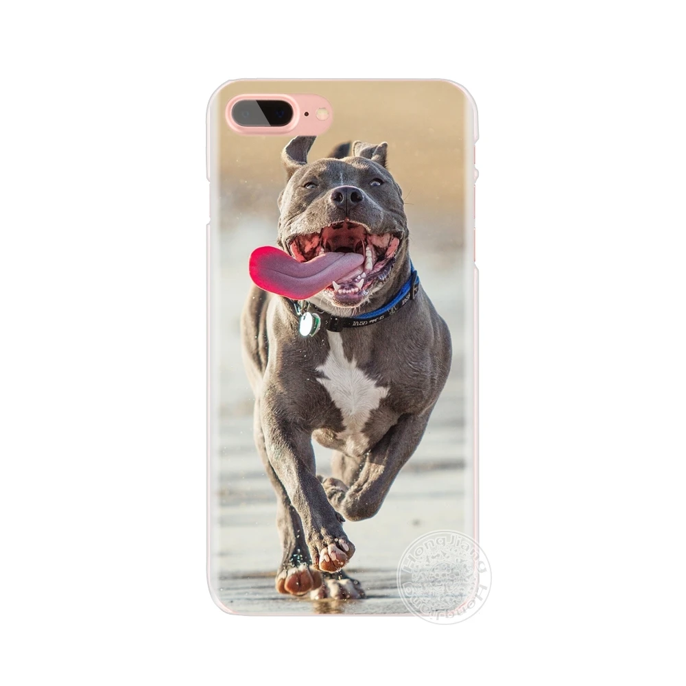 hameinuo pitbull kopek cep telefonu kilifi icin iphone 6 4 4s 5 5s se 5c 6 6s 7 8 arti iphone 7 icin kilif x
