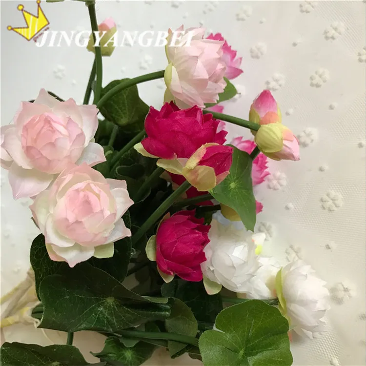 QQ20170615165902