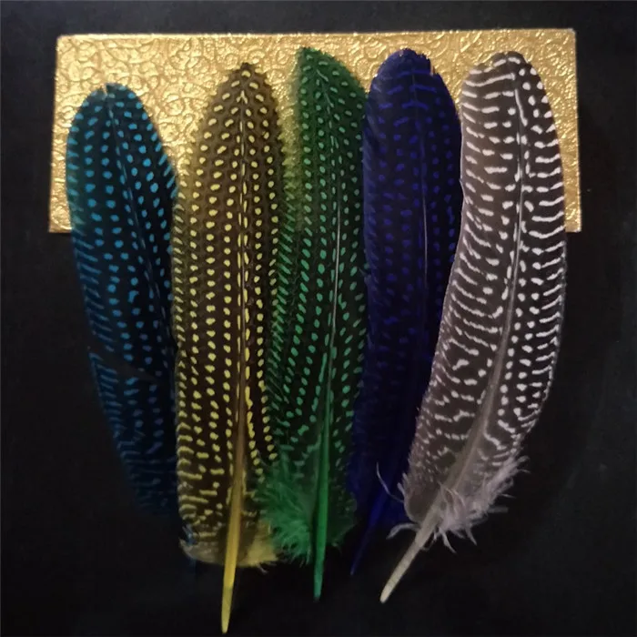 pearl pheasant feathers 1 (17)