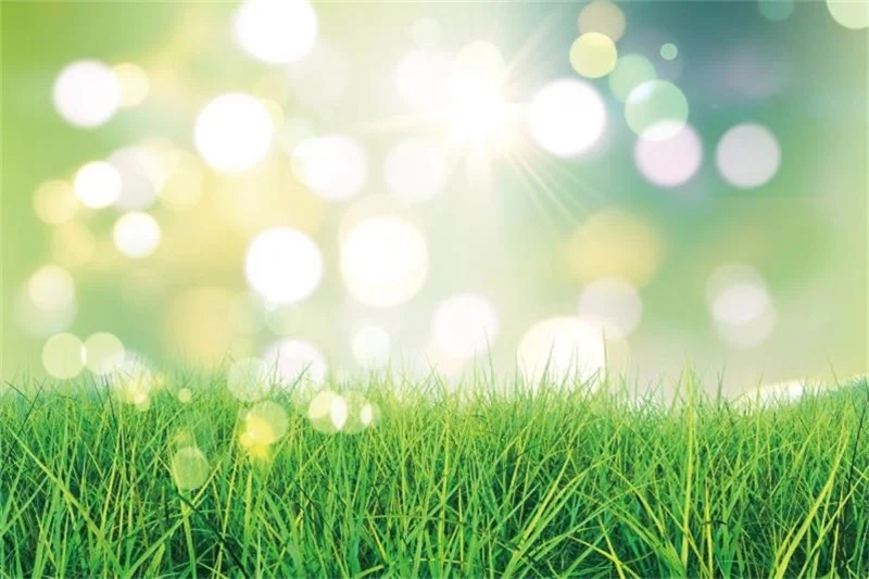 

Laeacco Green Grass Lawn Dreamy Polka Dots Spring Baby Newborn Portrait Photography Backdrops Photo Backgrounds Photo Studio