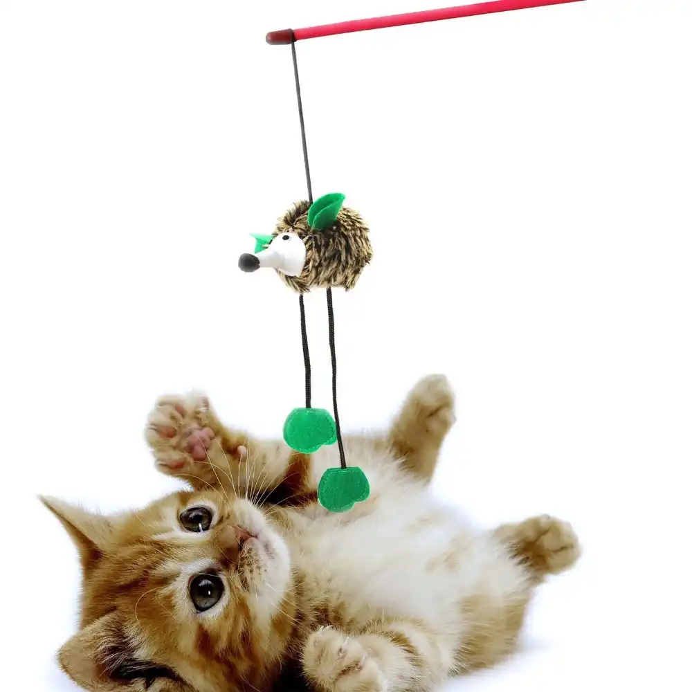 cat toy with mouse