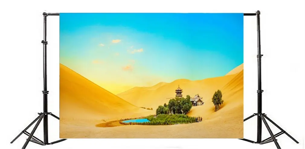 

Photography Backdrop Crescent Spring Dun Huang Desert Landscape Miracle