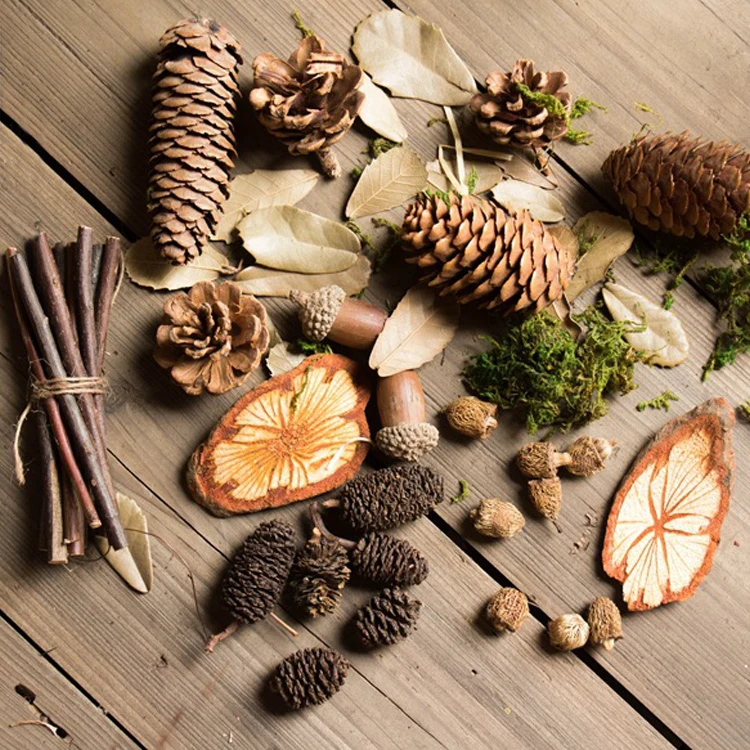 The Living Room Floor Decoration Real Flower Shoot Dry Branches Of