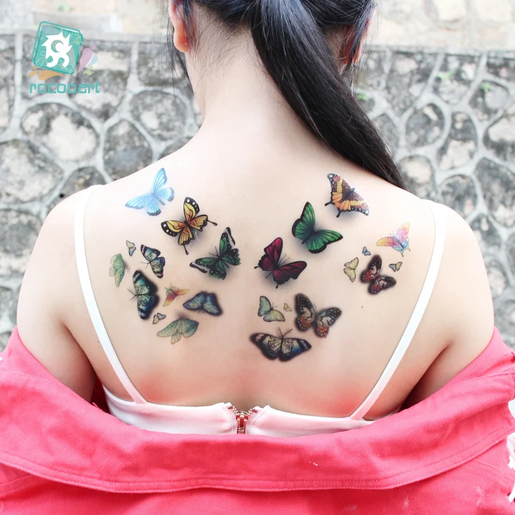 FG-002+003+