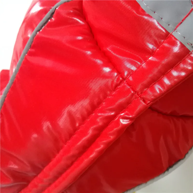 Dog Clothes Winter (27)