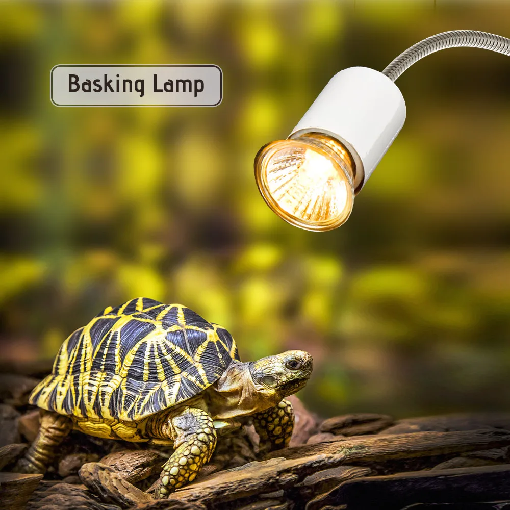 25w halogen heat lamp turtle basking uv light bulbs turtle light lamp