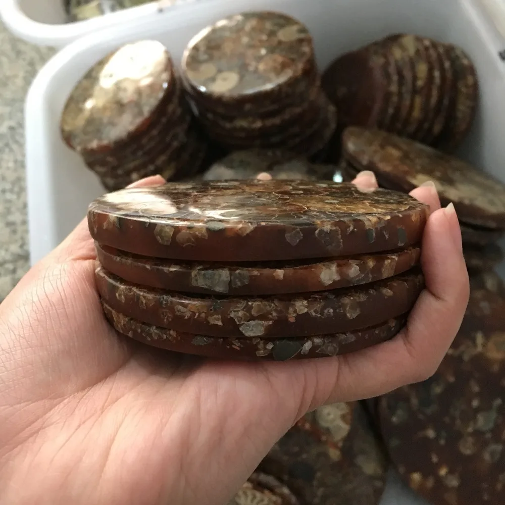 Аммонитовая пластина из ископаемых кусочков натуральная оболочка камень