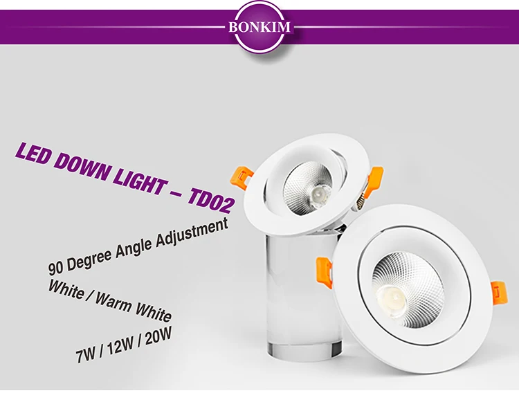 LED Down Light_TD-02_01