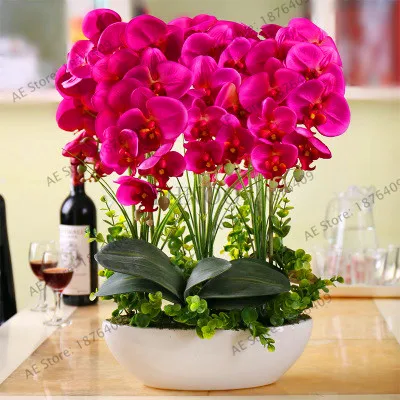 Новое поступление! фаленопсис сад, редкие комнатные растения бонсай цветок flores, 20 шт./пакет орхидеи растения,# A4QSOD - Цвет: 15
