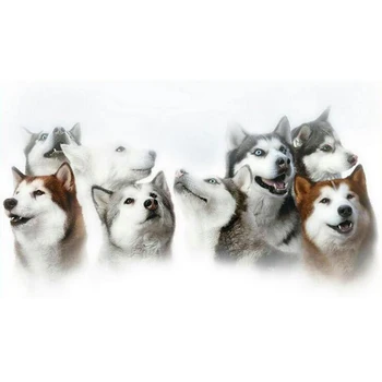 

5d diy handmade diamond painting Snowy Huskies dogs pet cross stitch mosaic painting diamond embroidery square drill JS4308